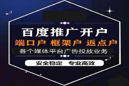 竞价广告端口开户的典型案例剖析